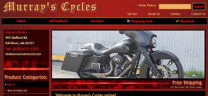 Website Design & Hosting in Massachusetts, New England and the Internet Community
