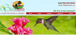 Website Design & Hosting in Massachusetts, New England and the Internet Community